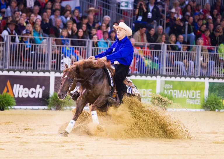 Kari Vepsä – Hevoskoulutuksen digitaalinen oppimisalusta
